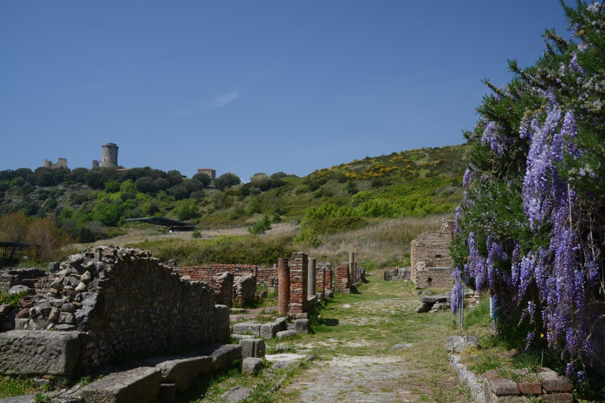 Agriturismo La Petrosa Ceraso 외부 사진