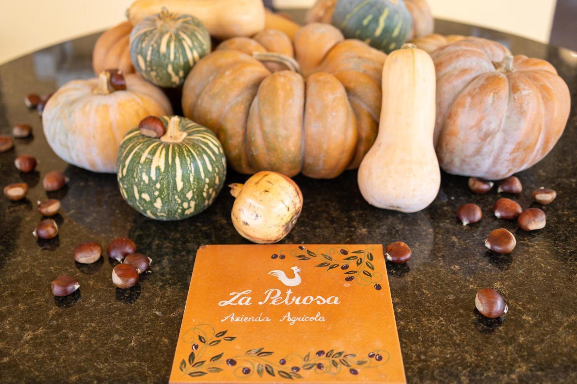 Agriturismo La Petrosa Ceraso 외부 사진