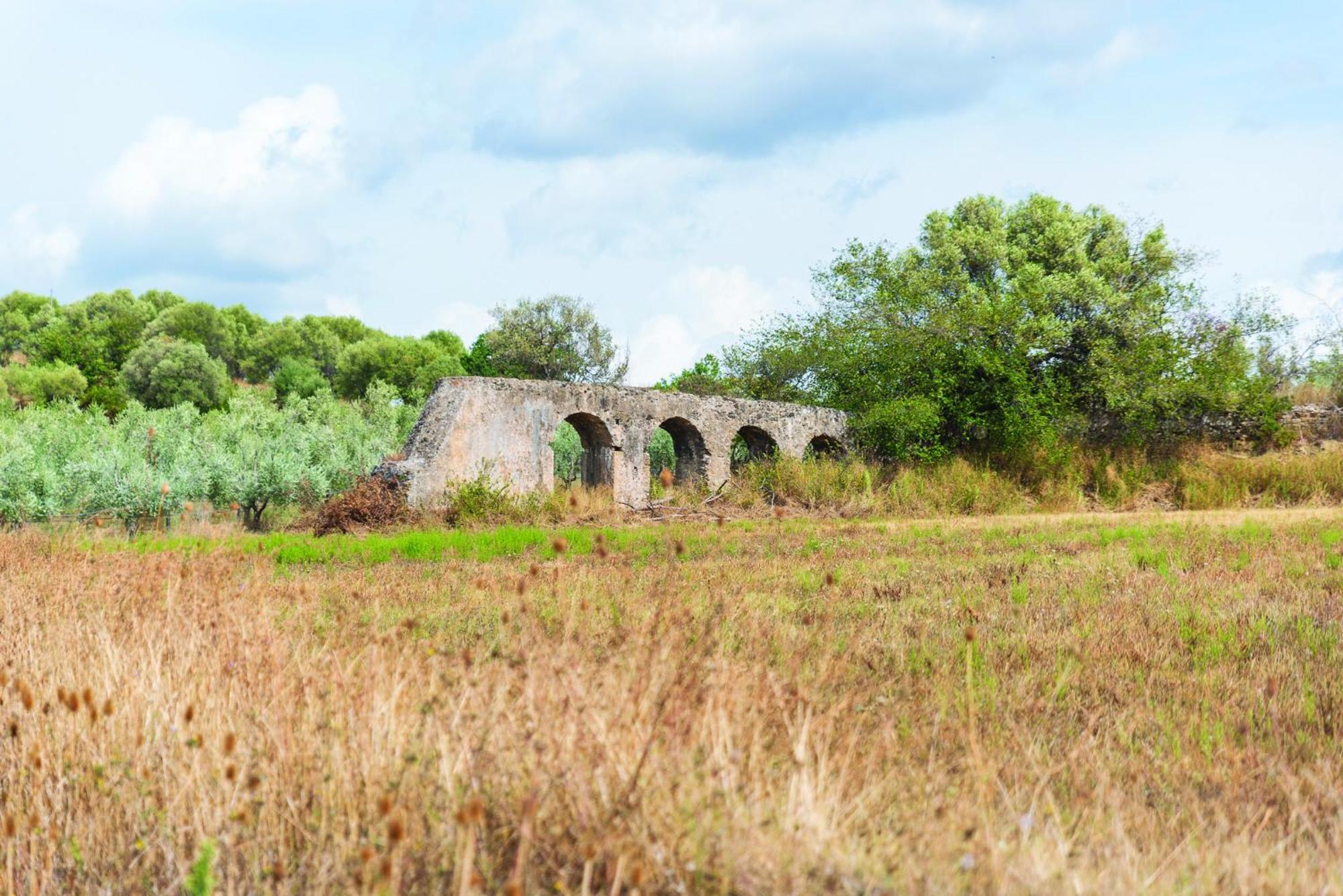 Agriturismo La Petrosa Ceraso 외부 사진