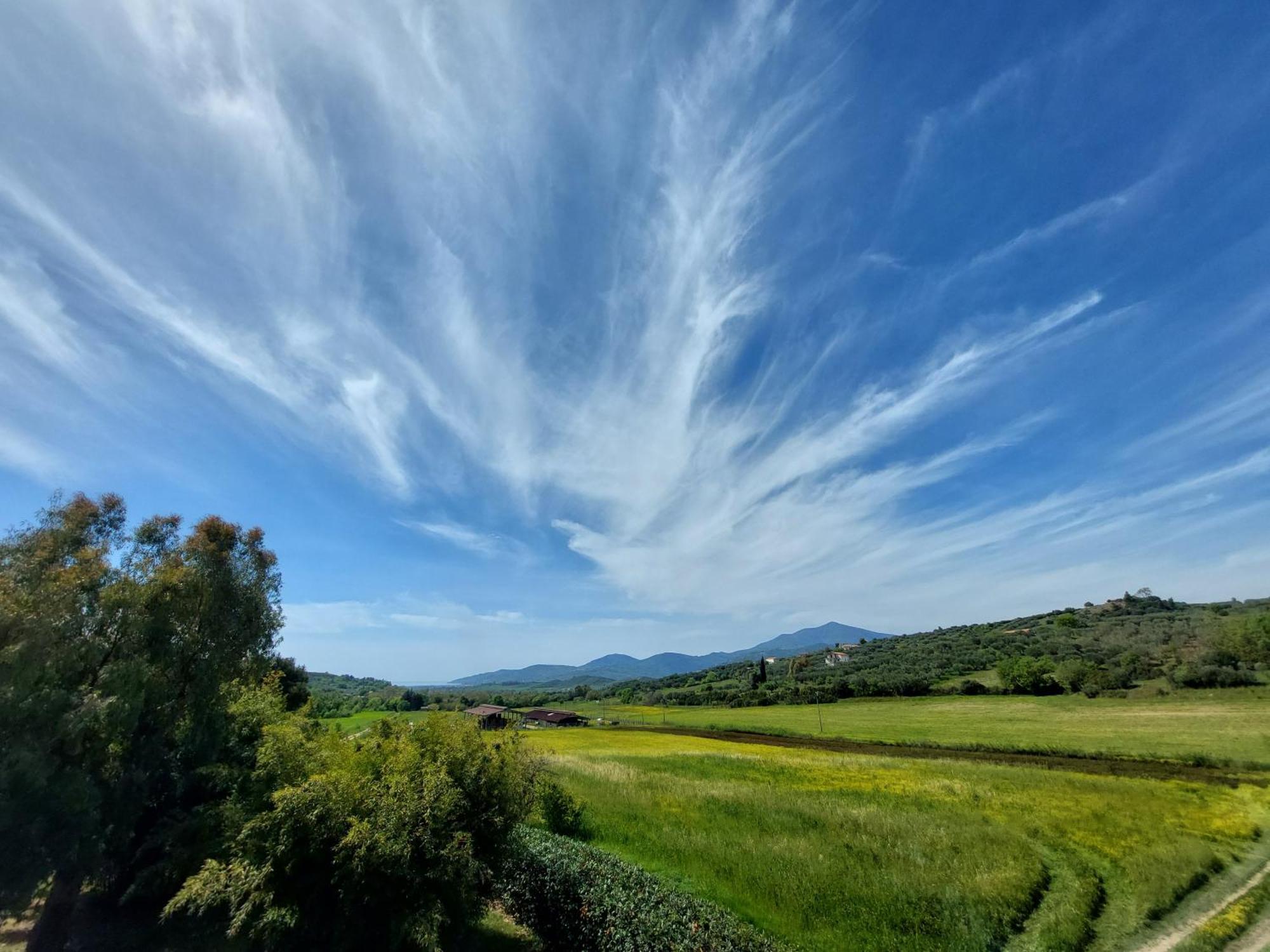 Agriturismo La Petrosa Ceraso 외부 사진